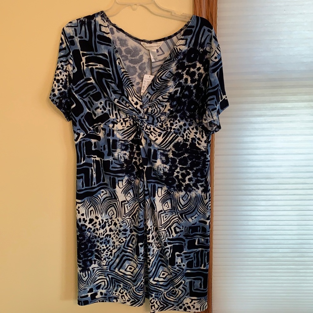 Christopher & Banks Dress